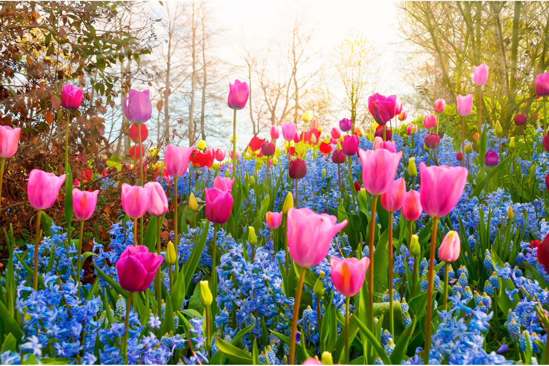 Image for Bloom & Book – 10% Off Spring Escapes