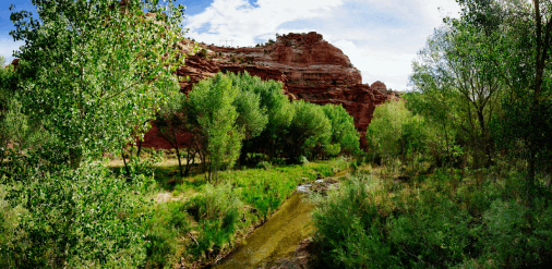Things To Do Capitol Reef National Park