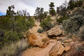 Things To Do Escalante Petrified Forest State Park