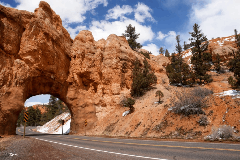 Thing To Do Local Attractions