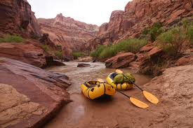 Thing To Do Local Area Guide