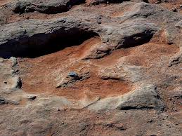 Things To Do Warner Valley Dinosaur Tracks